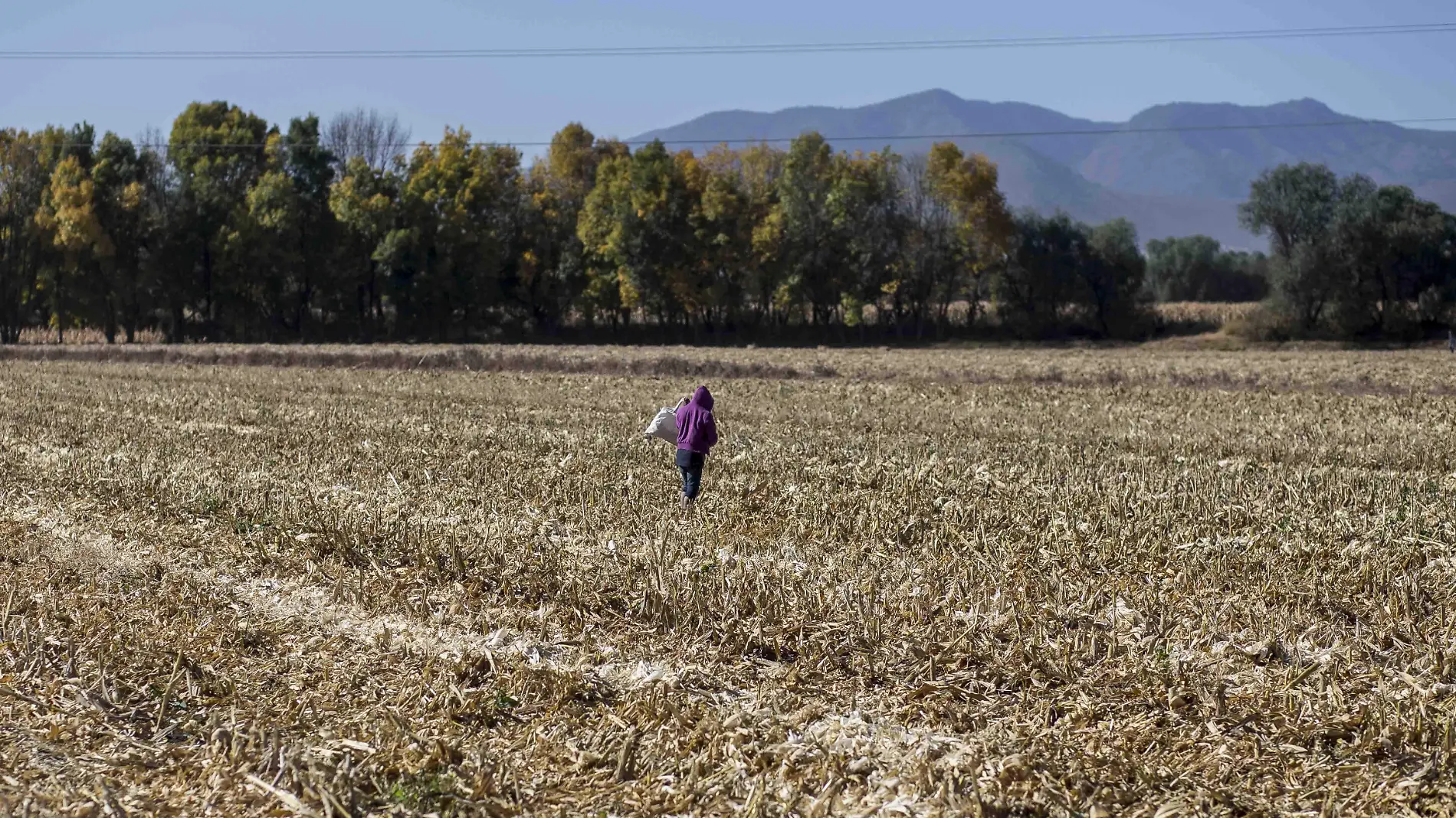 A la escasa lluvia se suman las altas temperaturas que afectan los cultivos.  Foto César Ortiz.